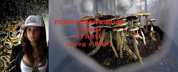 ECSTASY Горнозаводск