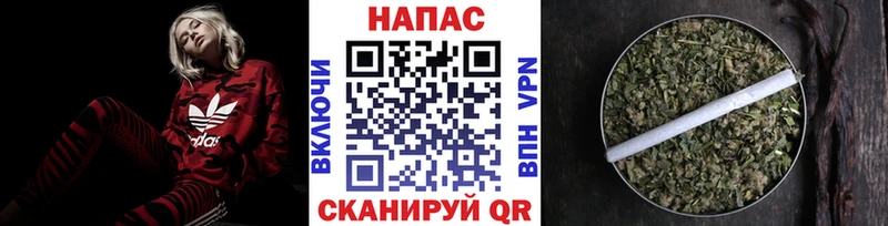Бошки марихуана Amnesia  Сибай 